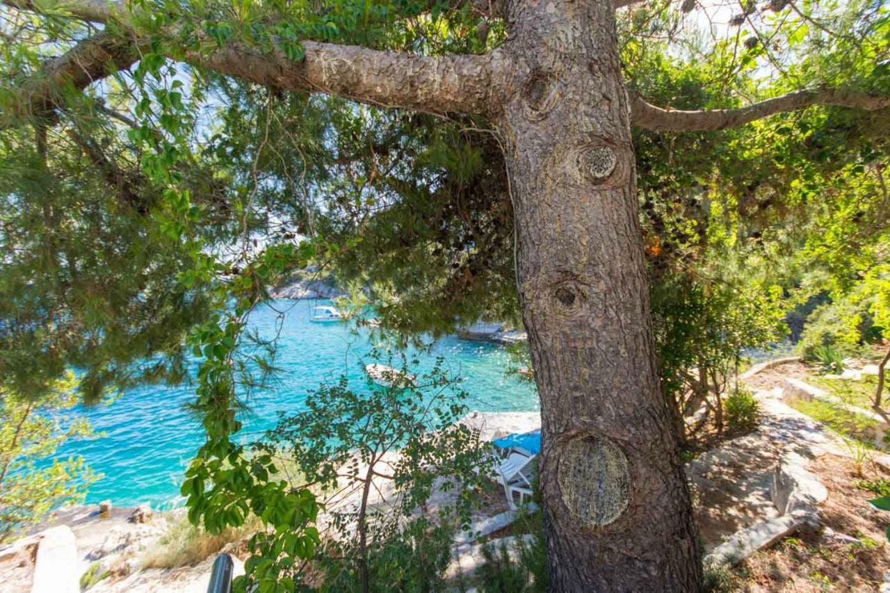 Apartments Marinana Ražanj Dış mekan fotoğraf